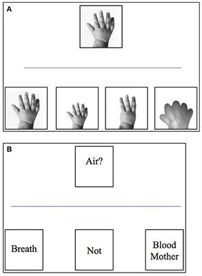 Children's Mental Models of Prenatal Development